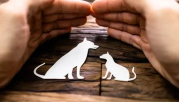 Evcil Hayvan Sigortası